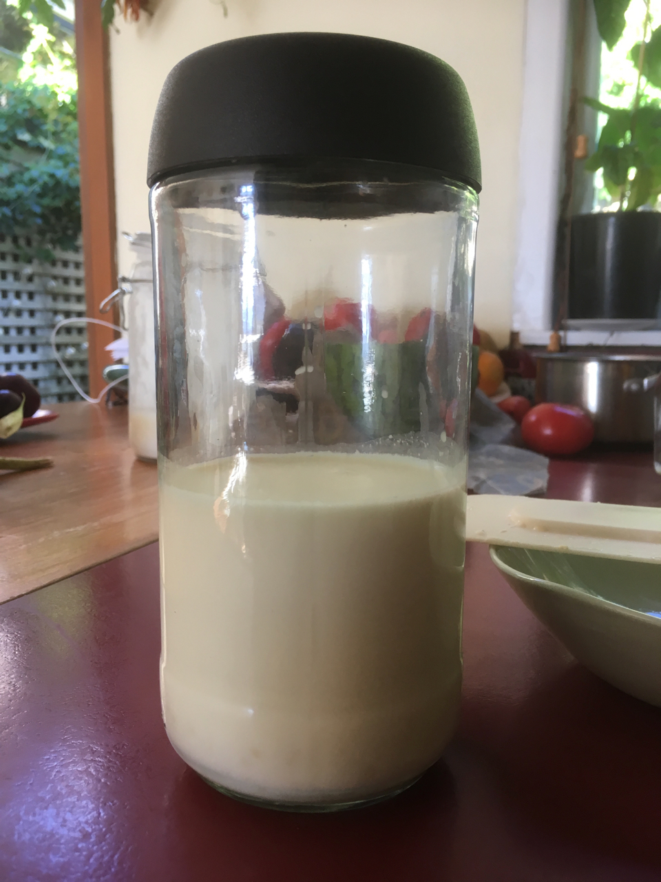 Closeup view of clean glass jar that is half full of milk. The jar is fitted with a deep, brown, plastic lid. The jar contains kefir granules but are submerged in the milk and they cannot be seen. The jar is sitting on a kitchen bench that has a variety of fruit, utensils and potted plants in the background..
