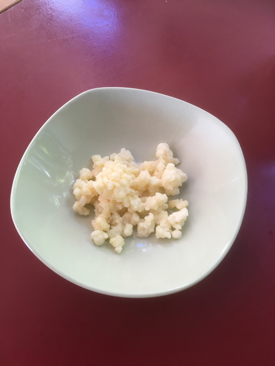 Kefir grains sitting in a pale green ceramic bowl on deep red benchtop.