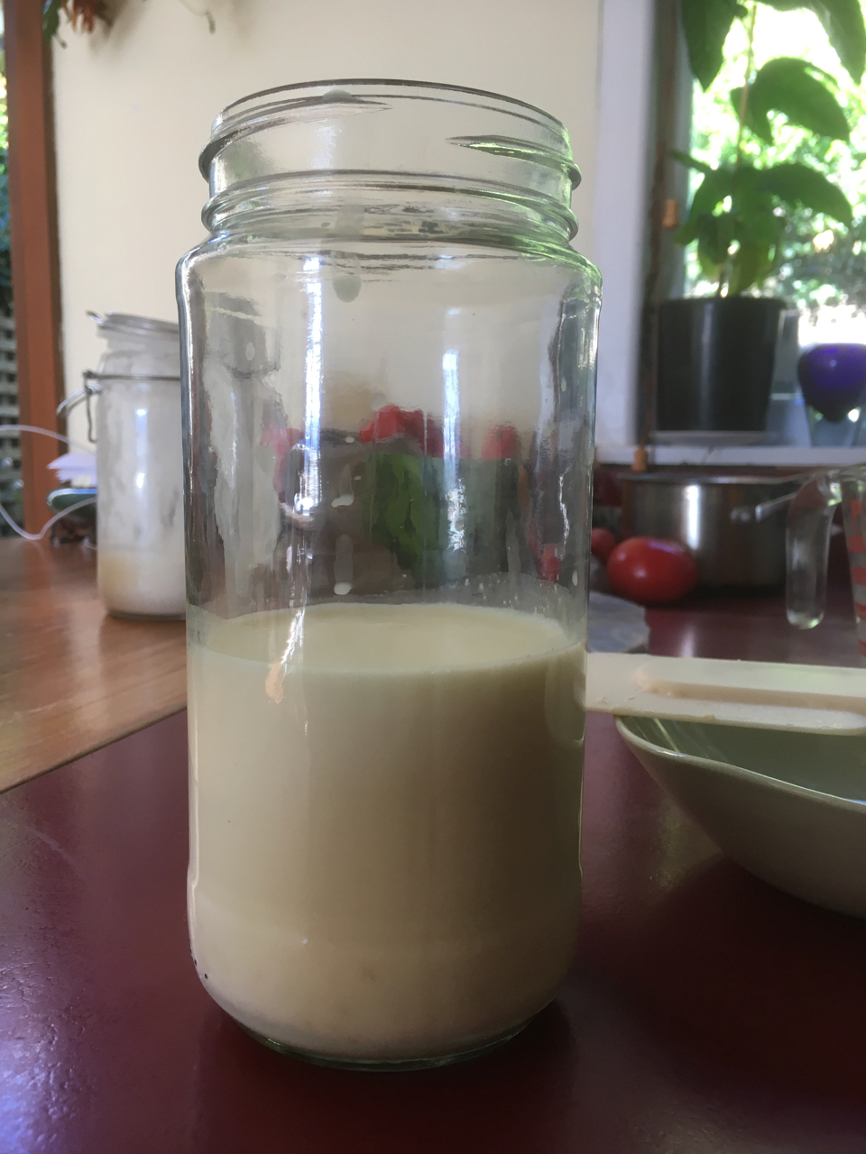 Closeup view of clean glass jar that is half full of milk. The jar contains kefir granules but are submerged in the milk and they cannot be seen. The jar is sitting on a kitchen bench that has a variety of fruit, utensils and potted plants in the background.